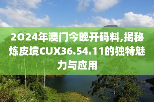 2O24年澳门今晚开码料,揭秘炼皮境CUX36.54.11的独特魅力与应用