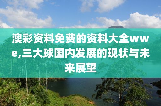 澳彩资料免费的资料大全wwe,三大球国内发展的现状与未来展望