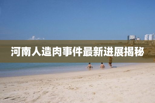 河南人造肉事件最新进展揭秘