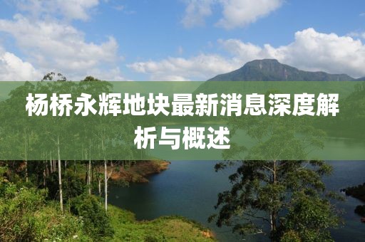 杨桥永辉地块最新消息深度解析与概述