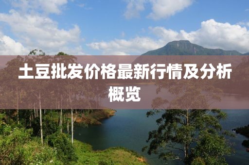 土豆批发价格最新行情及分析概览
