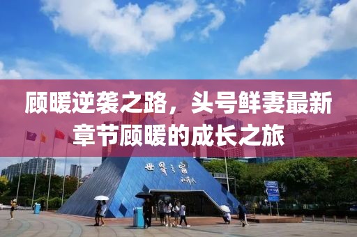 顾暖逆袭之路，头号鲜妻最新章节顾暖的成长之旅