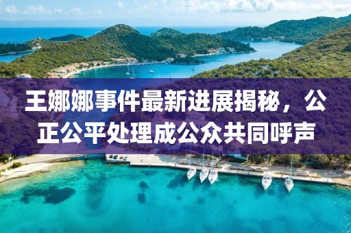 王娜娜事件最新进展揭秘，公正公平处理成公众共同呼声