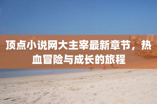 亮明之王 第16页