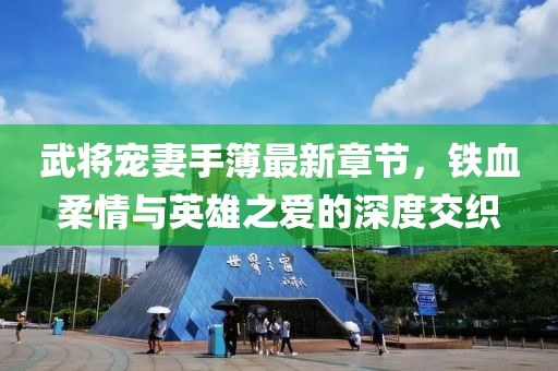 武将宠妻手簿最新章节，铁血柔情与英雄之爱的深度交织