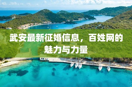 武安最新征婚信息，百姓网的魅力与力量