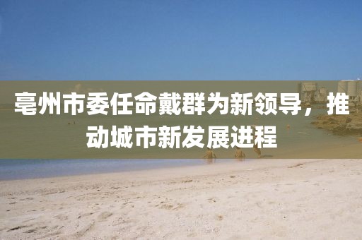 亳州市委任命戴群为新领导，推动城市新发展进程