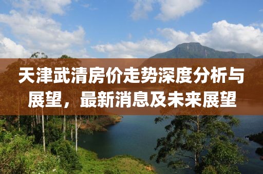 天津武清房价走势深度分析与展望，最新消息及未来展望