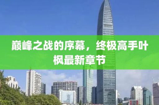 巅峰之战的序幕，终极高手叶枫最新章节