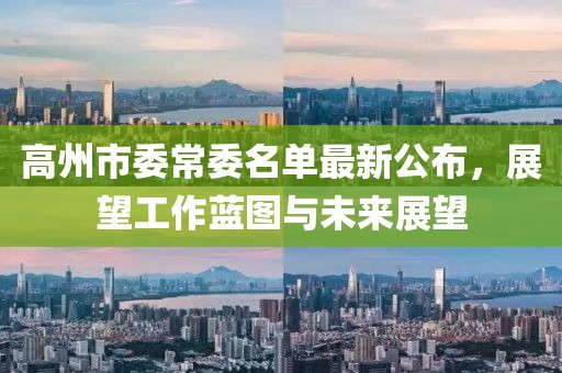 高州市委常委名单最新公布，展望工作蓝图与未来展望