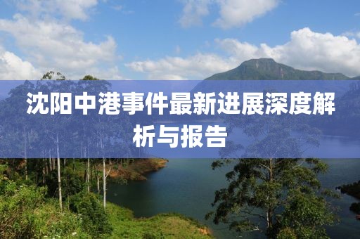沈阳中港事件最新进展深度解析与报告