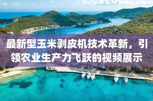 花开无言 第18页