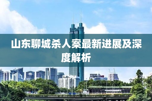 山东聊城杀人案最新进展及深度解析