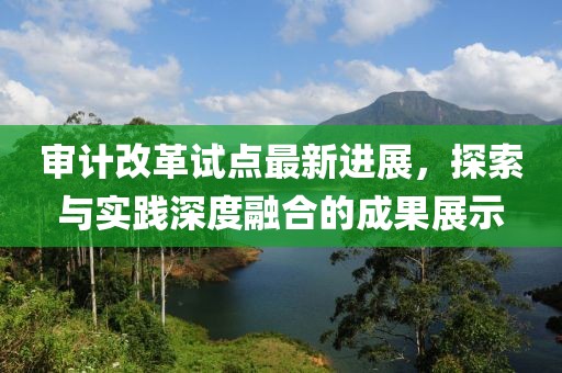 审计改革试点最新进展，探索与实践深度融合的成果展示
