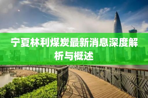 宁夏林利煤炭最新消息深度解析与概述