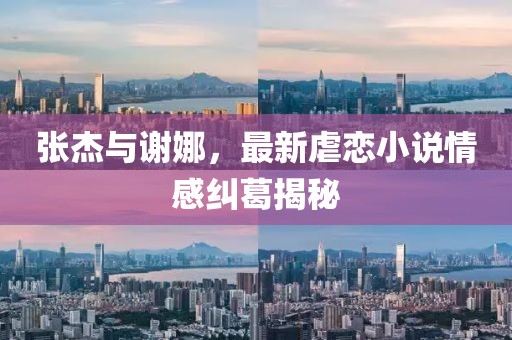 张杰与谢娜，最新虐恋小说情感纠葛揭秘