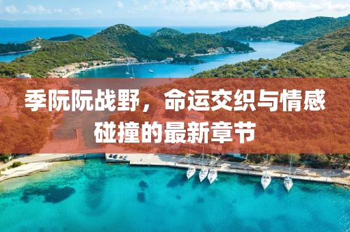 季阮阮战野，命运交织与情感碰撞的最新章节