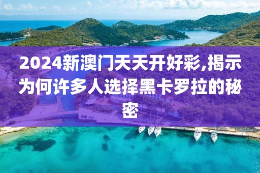 2024新澳门天天开好彩,揭示为何许多人选择黑卡罗拉的秘密