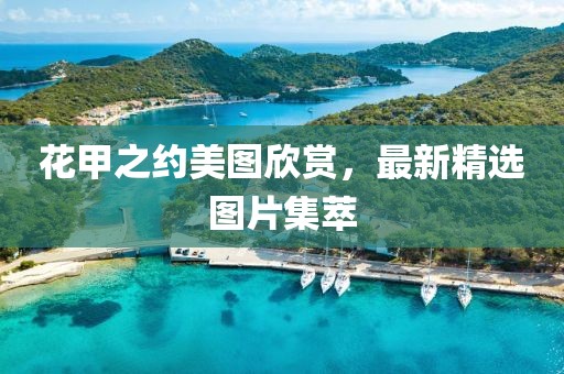 花甲之约美图欣赏，最新精选图片集萃
