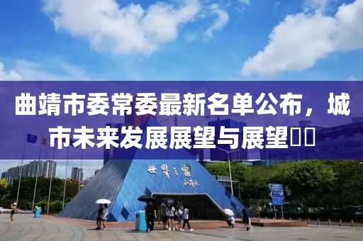 曲靖市委常委最新名单公布，城市未来发展展望与展望​​