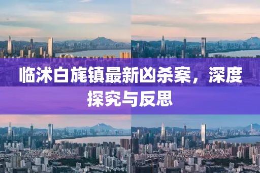 临沭白旄镇最新凶杀案，深度探究与反思