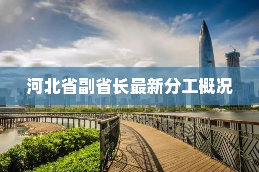 河北省副省长最新分工概况