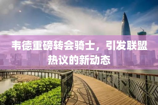 韦德重磅转会骑士，引发联盟热议的新动态