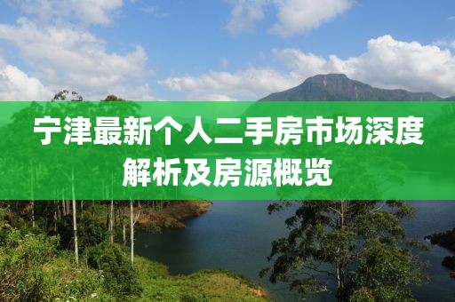 宁津最新个人二手房市场深度解析及房源概览