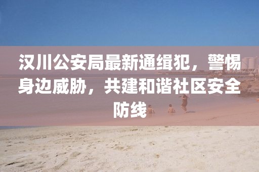 汉川公安局最新通缉犯，警惕身边威胁，共建和谐社区安全防线