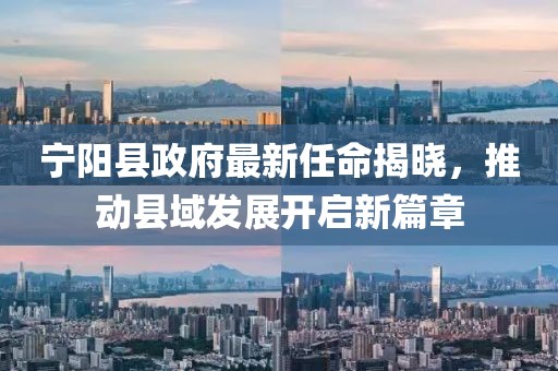 宁阳县政府最新任命揭晓，推动县域发展开启新篇章