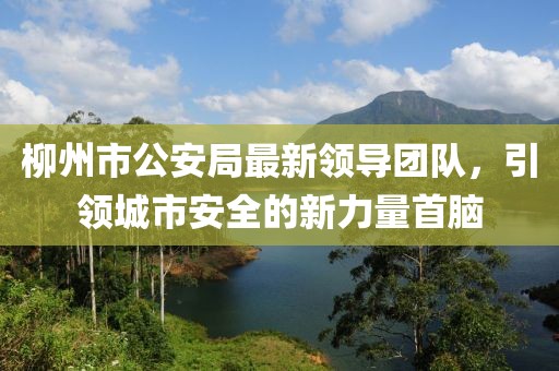 柳州市公安局最新领导团队，引领城市安全的新力量首脑