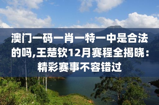 澳门一码一肖一特一中是合法的吗,王楚钦12月赛程全揭晓：精彩赛事不容错过