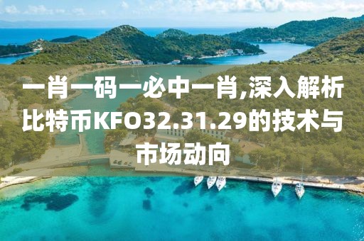 一肖一码一必中一肖,深入解析比特币KFO32.31.29的技术与市场动向
