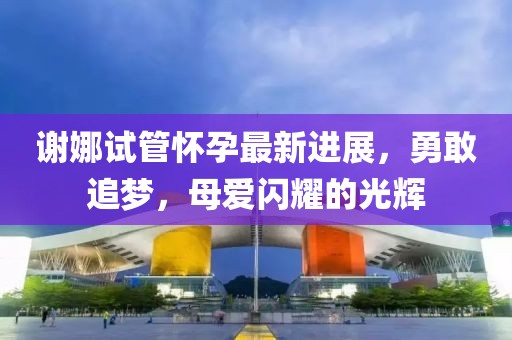 谢娜试管怀孕最新进展，勇敢追梦，母爱闪耀的光辉