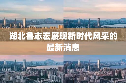 湖北鲁志宏展现新时代风采的最新消息