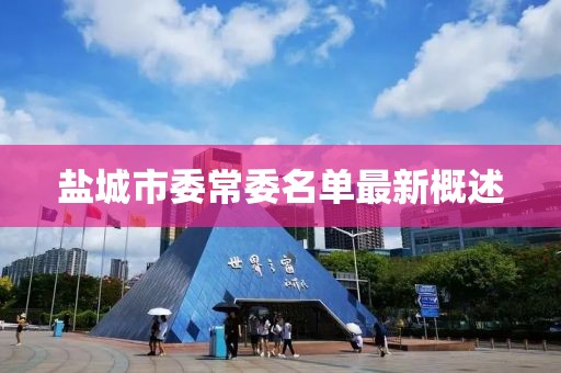 盐城市委常委名单最新概述