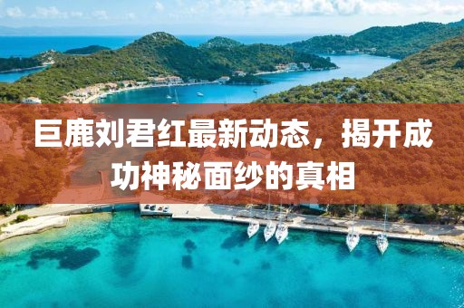 巨鹿刘君红最新动态，揭开成功神秘面纱的真相