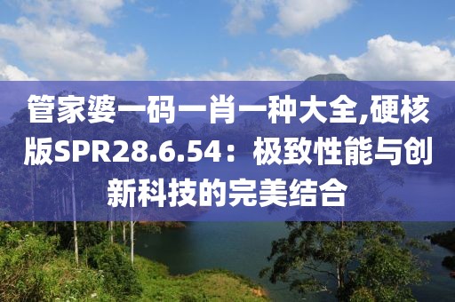 管家婆一码一肖一种大全,硬核版SPR28.6.54：极致性能与创新科技的完美结合
