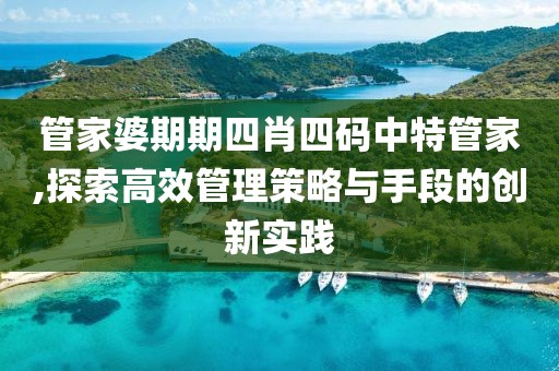 管家婆期期四肖四码中特管家,探索高效管理策略与手段的创新实践