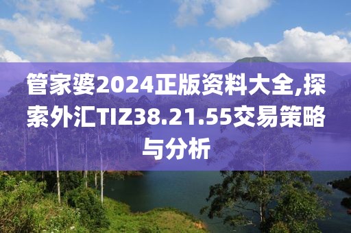 管家婆2024正版资料大全,探索外汇TIZ38.21.55交易策略与分析