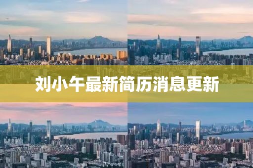 刘小午最新简历消息更新