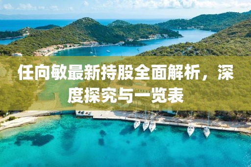 任向敏最新持股全面解析，深度探究与一览表