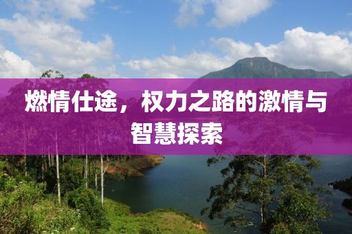 燃情仕途，权力之路的激情与智慧探索