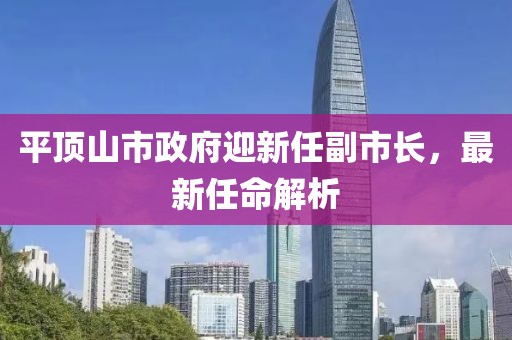 平顶山市政府迎新任副市长，最新任命解析