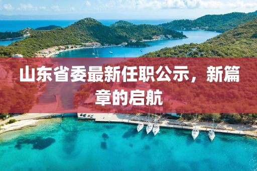 山东省委最新任职公示，新篇章的启航
