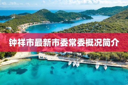 钟祥市最新市委常委概况简介