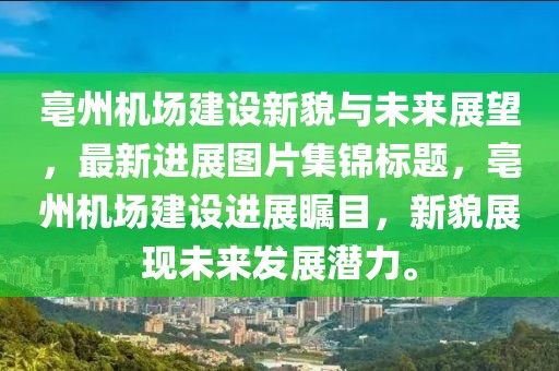 2025年1月 第231页