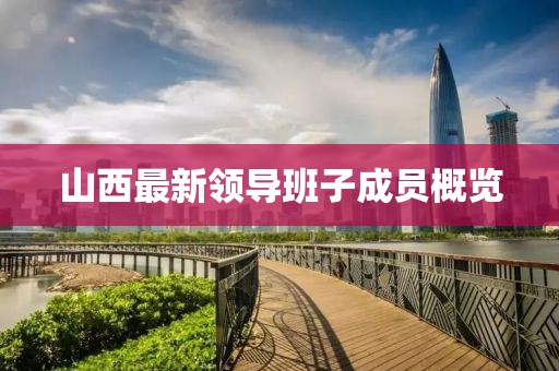 山西最新领导班子成员概览