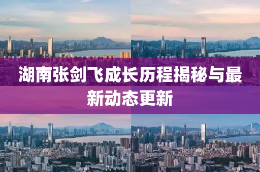 湖南张剑飞成长历程揭秘与最新动态更新