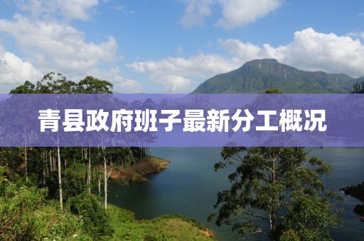 青县政府班子最新分工概况